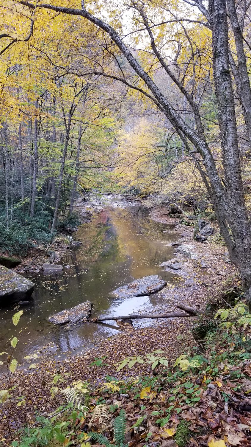 Glade Creek Trail 